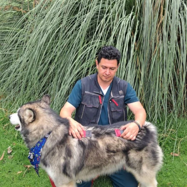 photo_4963388499772420176_y