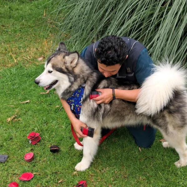 photo_4963388499772420177_y