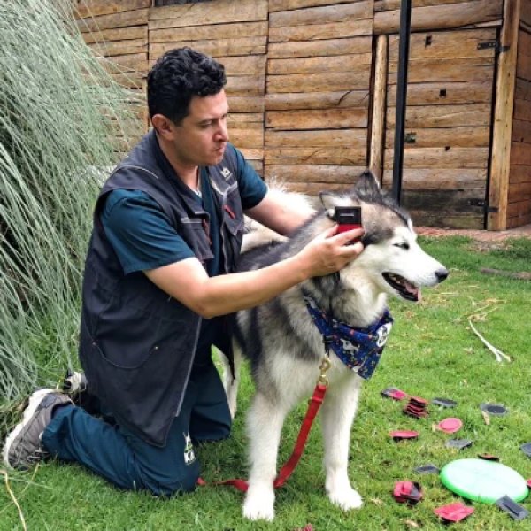 photo_4963388499772420180_y