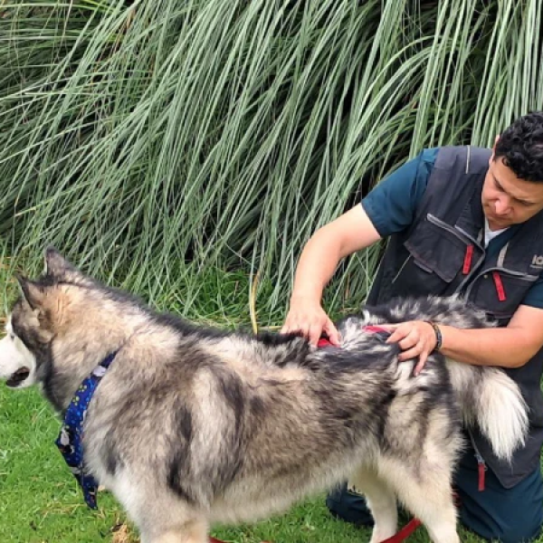 photo_4963388499772420182_y