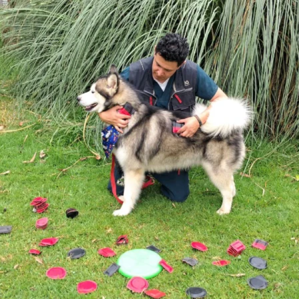 photo_4963388499772420183_y